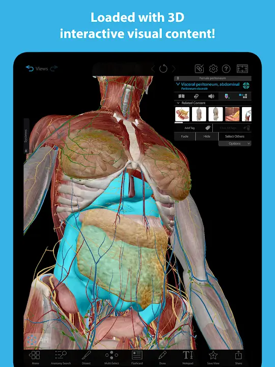 Human Anatomy Atlas 2023 MOD APK